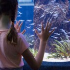 Aquarium Lighting Information